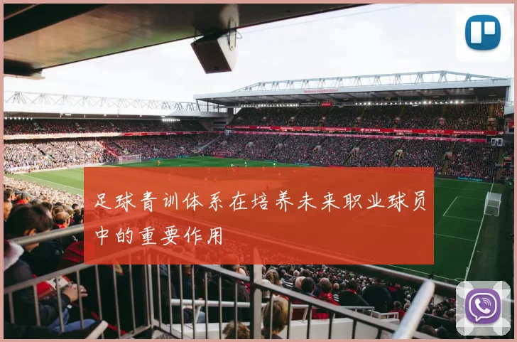 足球青训体系在培养未来职业球员中的重要作用